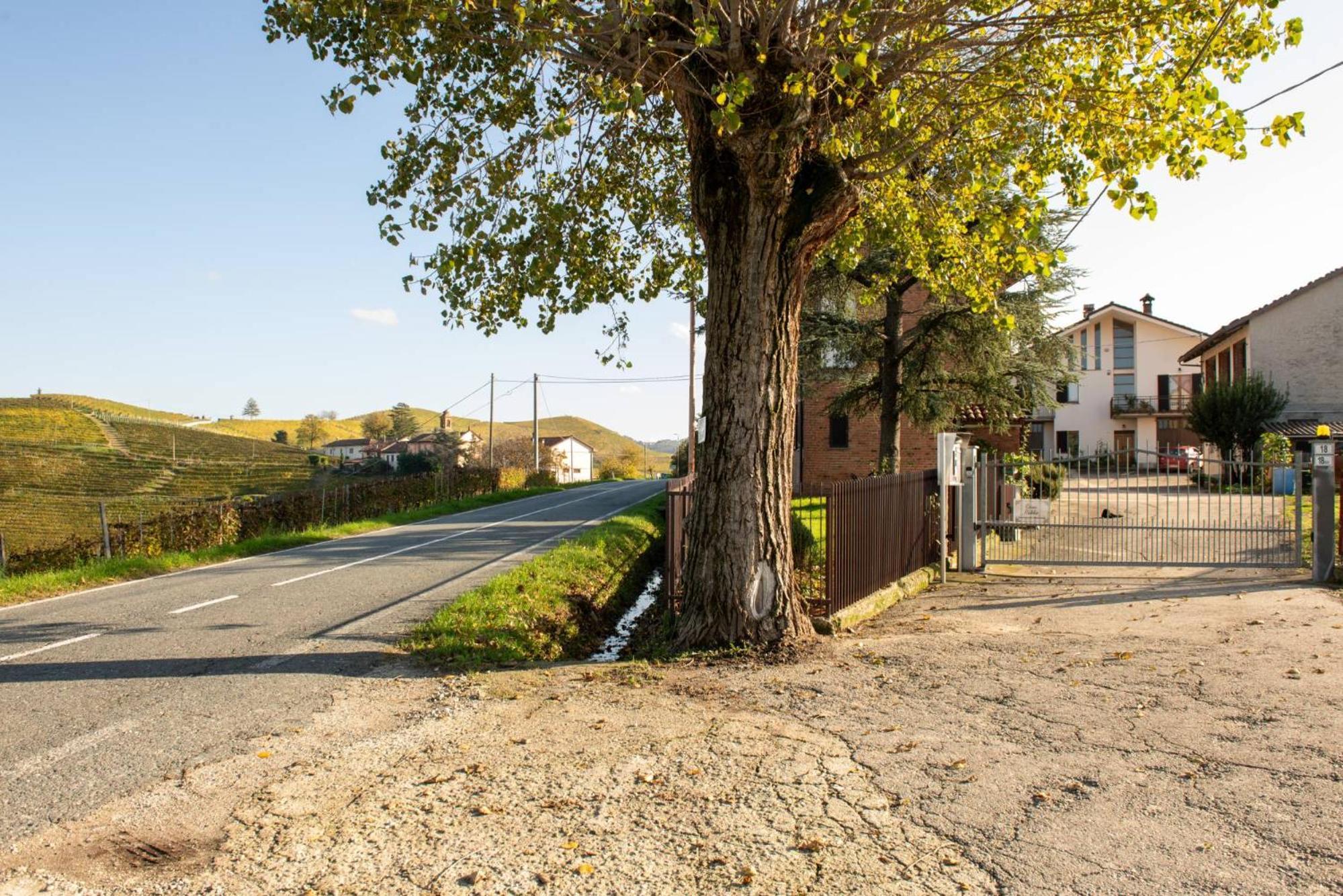 Casa Rubbo - Appartamento In Collina 'Monviso' Alba  Buitenkant foto